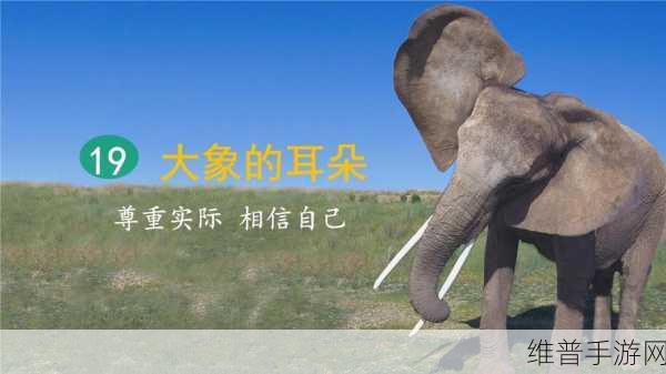 国精产品一二四区大象：1. 探索国精产品在一二四区的市场潜力