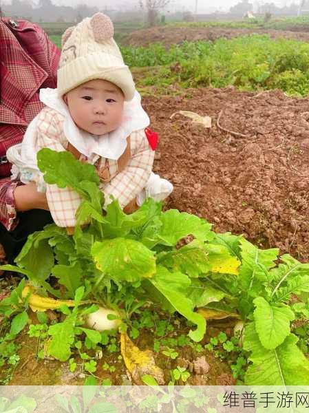 光腿拔萝卜 光腿拔萝卜：1. 光腿拔萝卜：田间的趣味与挑战