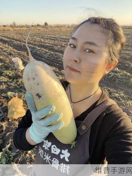 光腿拔萝卜 光腿拔萝卜：1. 光腿拔萝卜：田间的趣味与挑战