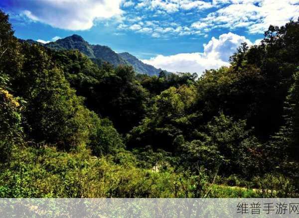 夜里100款禁用：1. 夜间禁用拓展：揭秘100种不为人知的选择