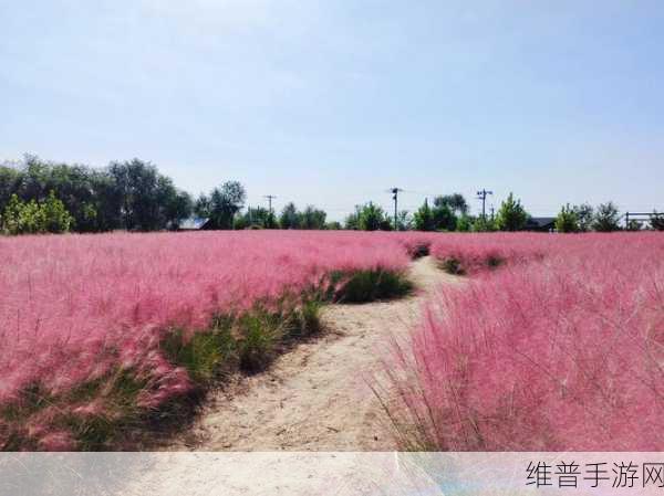 伊甸园快速通道:1. 探索伊甸园:快速通道的神秘之旅