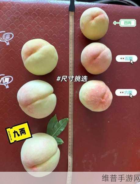 小水蜜桃四：1. 小水蜜桃的成长之旅：从种植到收获