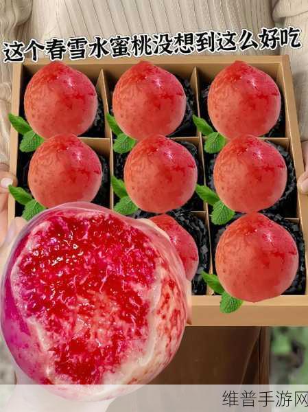 小水蜜桃四：1. 小水蜜桃的成长之旅：从种植到收获