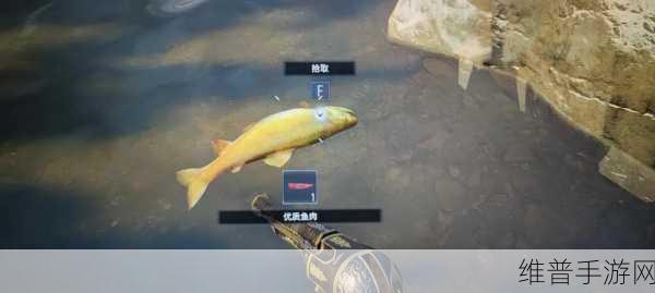 生化危机 8 手游高级动物精准定位大揭秘