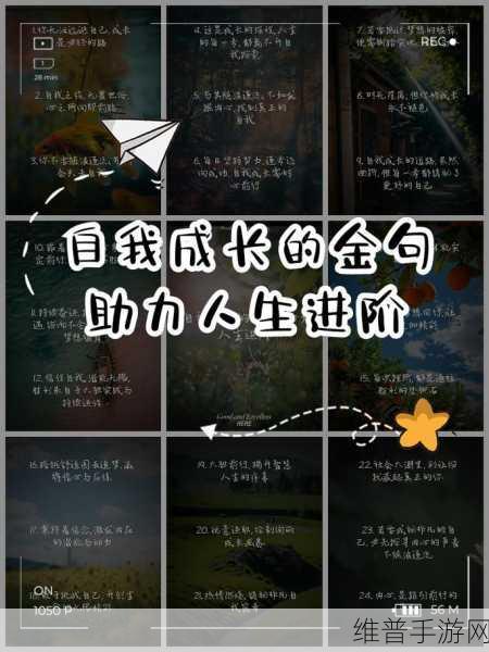 18岁网站：1. 迈向成年：18岁的网站探索与成长之旅
