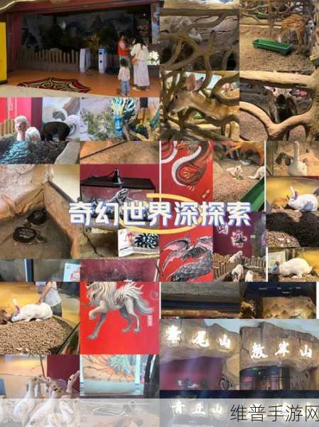 互动影游：1. 《梦幻冒险：与英雄共同探索奇幻世界