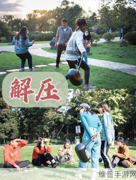 解压游乐园,释放压力,畅享全新游戏盛宴下载指南