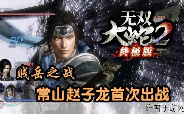 无双大蛇2终极版有pc版吗:无双大蛇2终极版PC版是否值得购买?深入分析