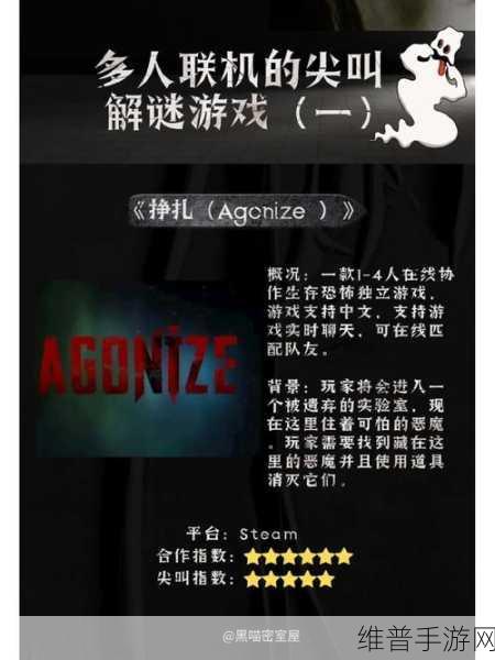 深入无声尖叫，恐怖冒险解谜游戏全攻略