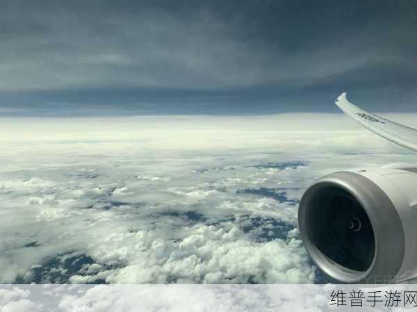939w7878：1. 探索939w7878背后的秘密与潜力
