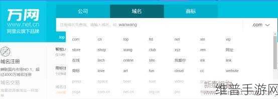 yp193.coc域名查询：根据yp193.coc域名，以下是一些扩展的标题建议：