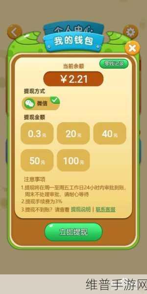 玩转手游，转转发条分期提现攻略与技巧