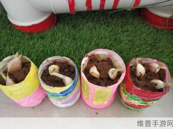 我家果园红包版深度攻略，享受种植乐趣，收获满满收益