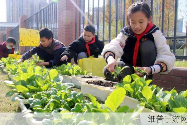 我家果园红包版深度攻略,享受种植乐趣,收获满满收益