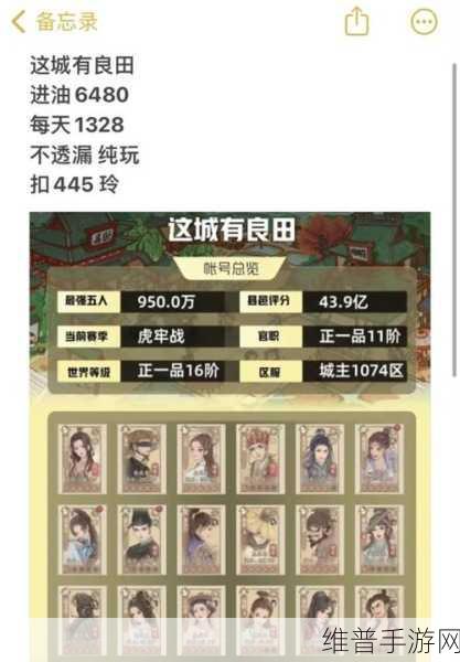 这城有良田新手阵容搭配秘籍大公开