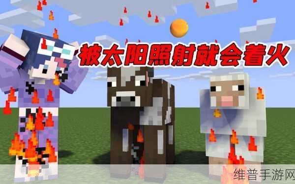 死亡僵尸车最新版下载,探索僵尸世界的极限驾驶生存之旅