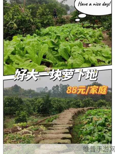 两个人如何拔萝卜生孩子软件户外:1. "拔萝卜与生孩子:户外拓展新体验