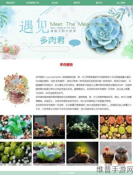 dw个人网站制作成品：1. 打造独特个人网站，展现你的无限创意