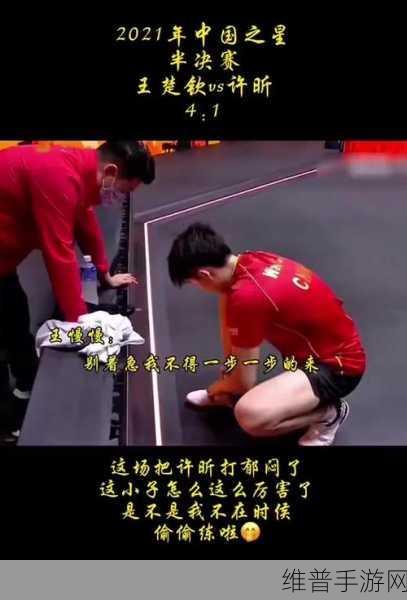 王楚钦的舅舅是谁:王楚钦舅舅身份揭秘:家族背后的故事与影响