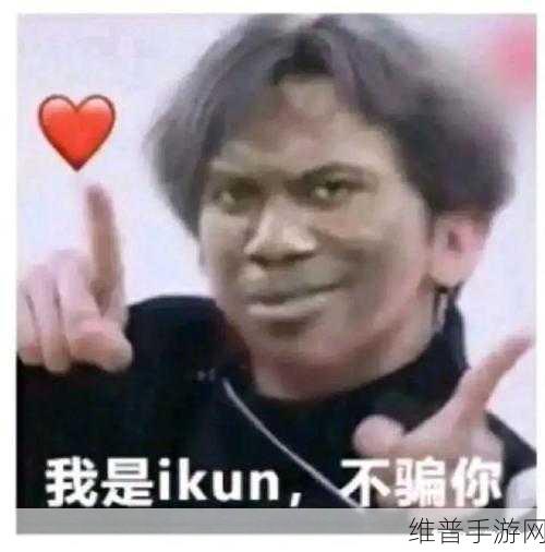 坤坤寒进括号：当然可以，以下是基于“坤坤寒进”拓展出的几个新