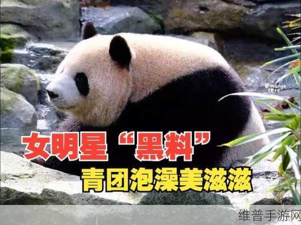 国产黑料爆料系列在线:1. 《揭秘国产黑料:幕后真相与明星隐秘生活