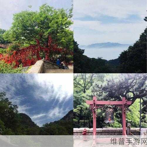 揭秘找到可疑的证据游戏下载，解锁丰富解谜方式的精彩之旅