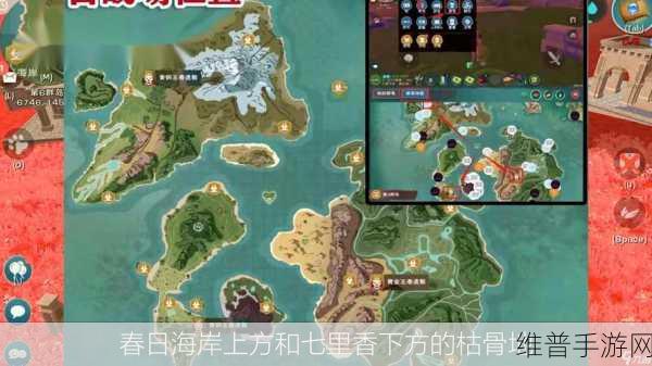 探索创造与魔法，古战场位置全解析