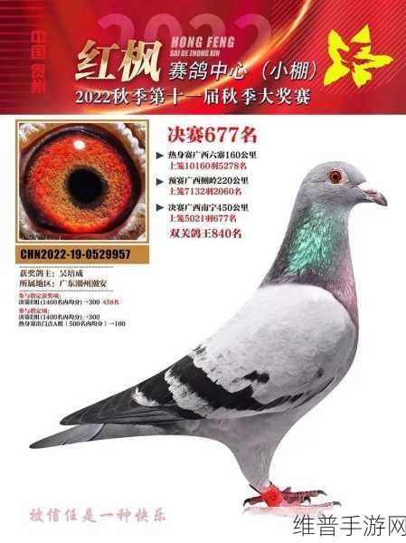 天南铜都小棚赛鸽中心秋棚：1. 天南铜都小棚赛鸽中心秋季赛事全面启动