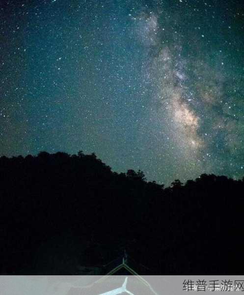 天美麻花星空免费观看乡村版：1. 星空下的乡村梦：天美麻花新篇章