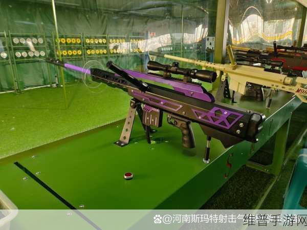 扫射我最强，枪林弹雨中的射击盛宴——手机版下载攻略全解析