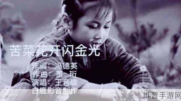 插曲视频完整版在线观看中文免费：1. 《插曲视频完整版：畅享绝美音乐与视觉盛宴