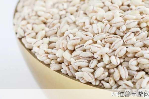 青稞直播：1. 青稞直播：探索健康生活的新选择