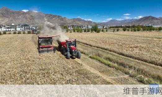 青稞直播：1. 青稞直播：探索健康生活的新选择