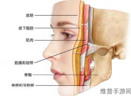 女性角色去掉小内皮肤的:1. 探索女性角色的内心世界与外在转变