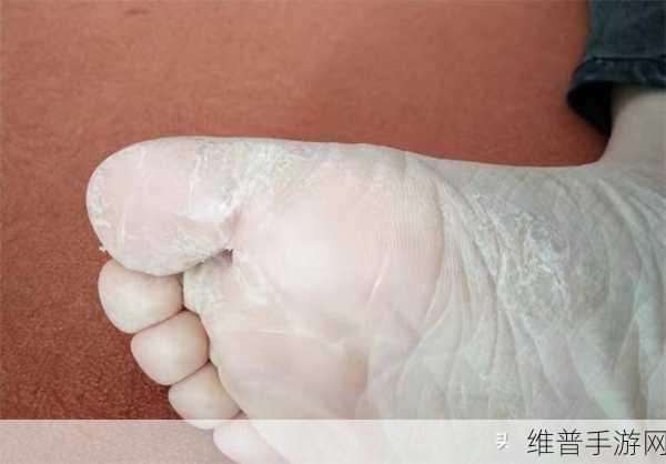 羽毛刷脚底心外国人:1. 羽毛刷脚底心:解锁舒适与放松的新体验