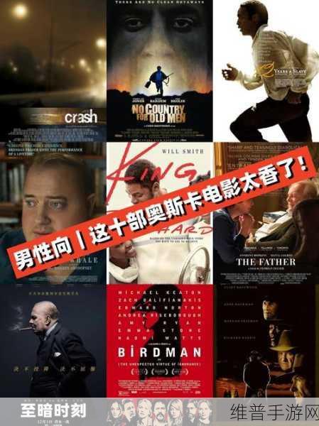 欧美精三区欧美精三区：1. 深入探讨欧美精三区的文化与经济影响