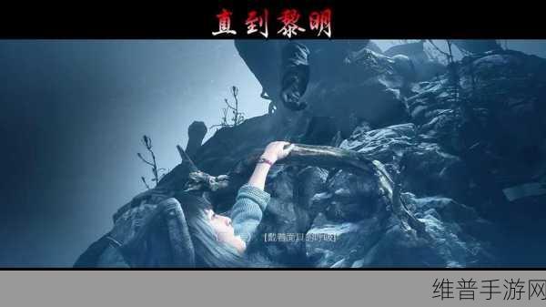 直到黎明剧情解析:直到黎明:黑暗之中的求生与背叛