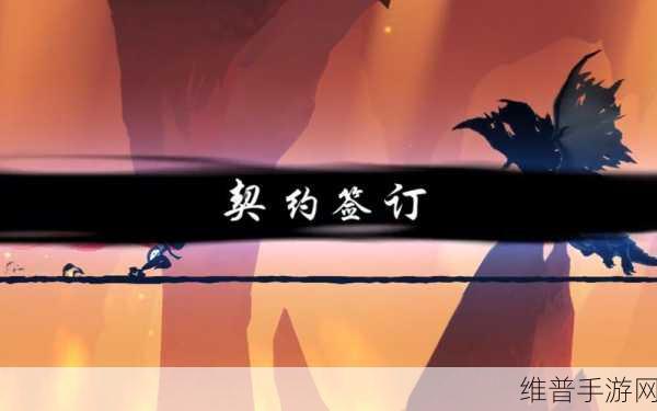 忍者划艇下载，简朴画风下的休闲策略新体验