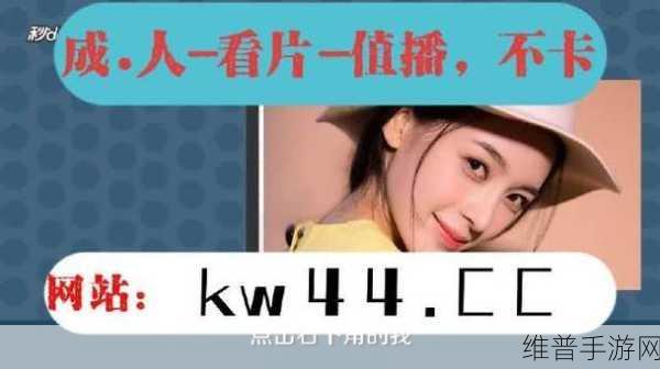 麻豆视频网页入口大全：1. 全面解析麻豆视频：最全网页入口大集合