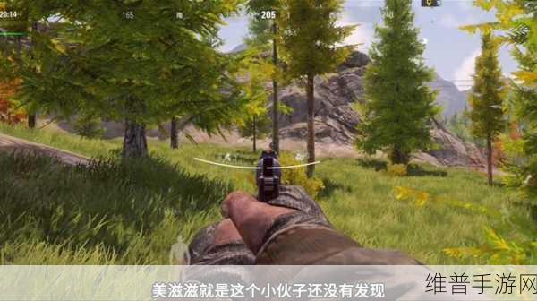 暗区突围，深入解析手枪 G17 的性能与实战表现