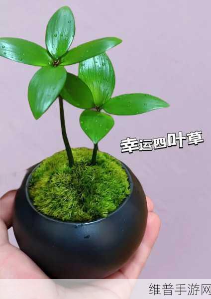 四叶草实验室2024隐藏入口:1. 四叶草实验室2024:揭秘隐藏入口的奥秘