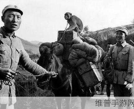 战歌远征军声望：1. 《战歌远征军：荣耀与背叛的交织