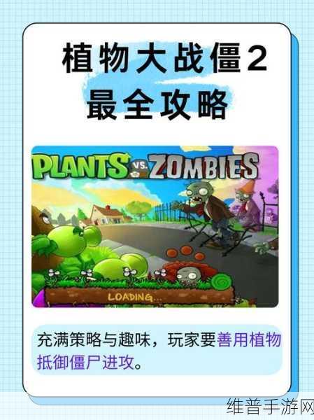 重温经典，策略至上，植物大战僵尸长城版下载全攻略