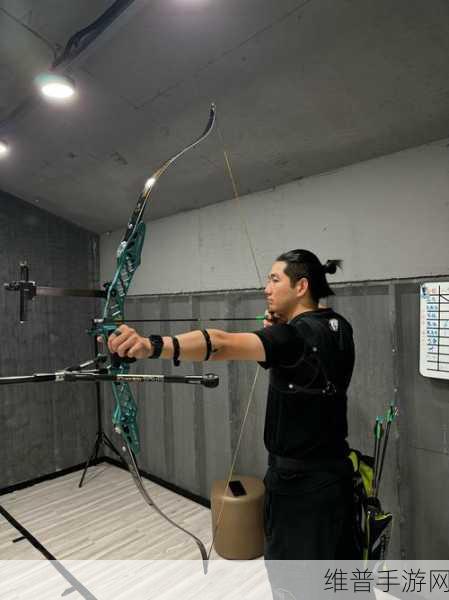 弓箭挑战游戏下载，掌握射击精髓，征服无尽挑战