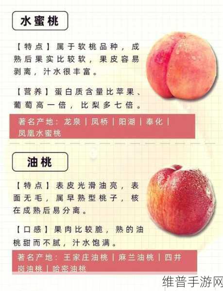久久久水蜜桃：1. 探索水蜜桃的美味世界与健康价值