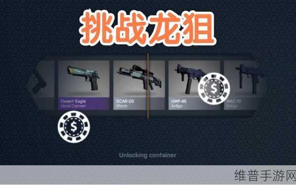 CSGO开箱模拟器中文版深度攻略，EfezGames打造的开箱盛宴