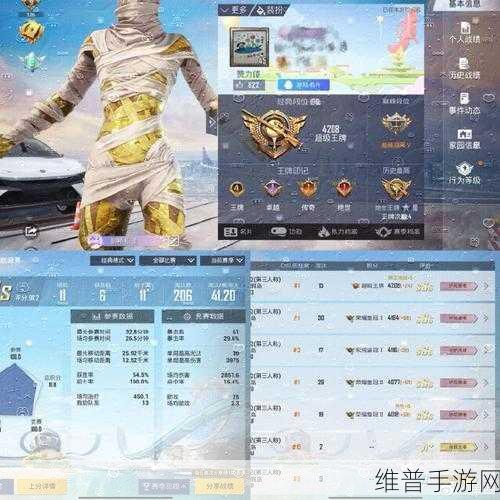 和平精英，隐匿历史战绩的终极指南