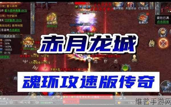 魂环冰雪攻速版下载，解锁极致攻速的战斗盛宴