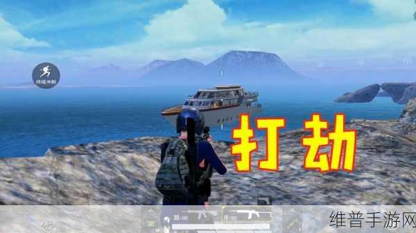 和平精英封禁时间查询全攻略，手游公司为您揭晓