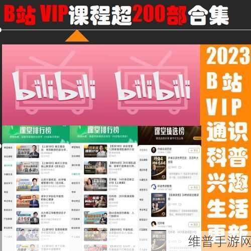 b站2023年免费入口在哪里：1. 2023年B站免费入口详解与使用指南